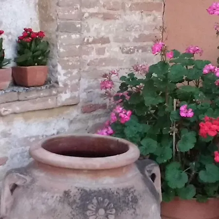 מלון Al Belvedere *