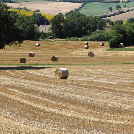 Al Belvedere * Agugliano