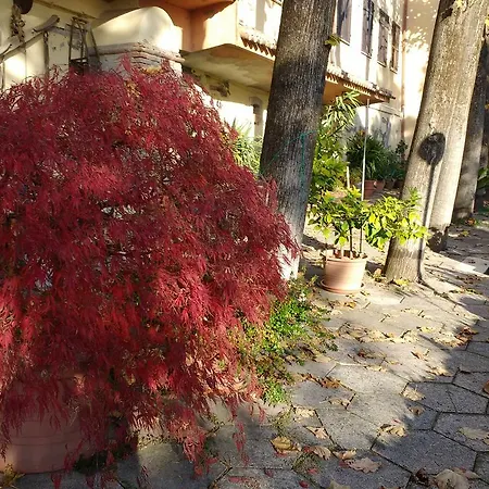 Al Belvedere * Agugliano