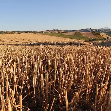 Hotel Al Belvedere *